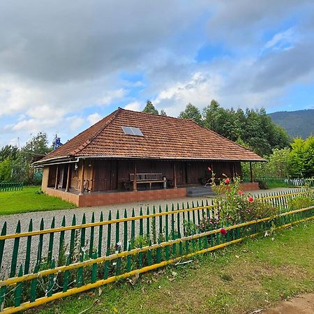 Nature Castle -Traditional Villa,Vattavada Kottakamboor Zewnętrze zdjęcie